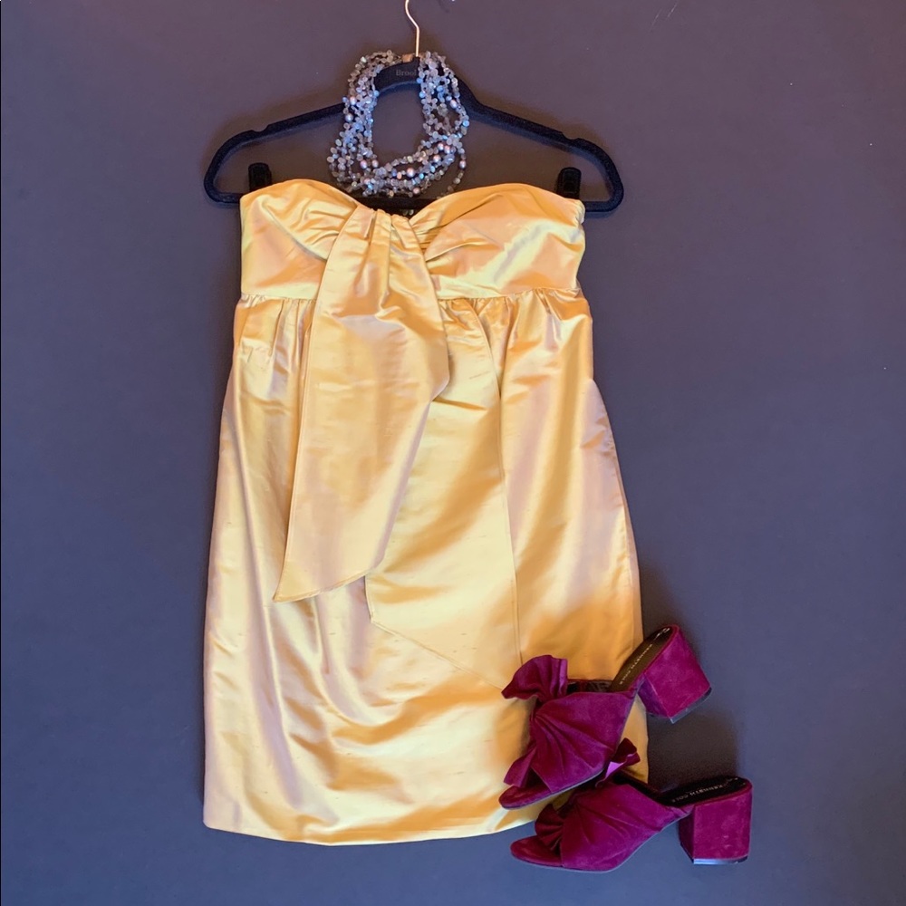 Stunning raw silk party dress.